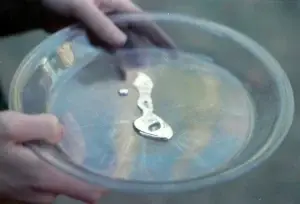 Υγρός υδράργυρος (mercury) σε γυάλινο τρυβλίο — η πρώτη ύλη του ομοιοπαθητικού φαρμάκου Mercurius Solubilis